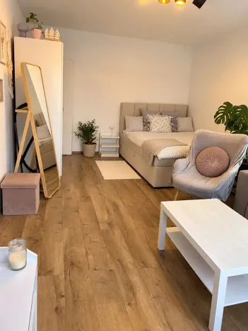 Pronájem bytu 1+1, Plzeň, Rabštejnská, 39 m2