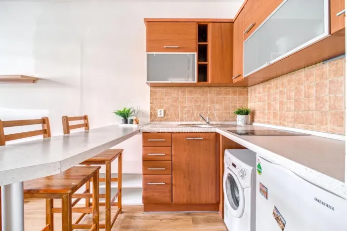 Prodej bytu 1+kk, Ostrava - Moravská Ostrava, U Parku, 29 m2