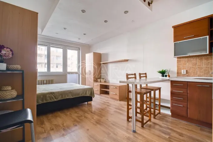 Prodej bytu 1+kk, Ostrava - Moravská Ostrava, U Parku, 29 m2