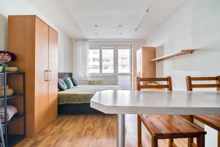 Prodej bytu 1+kk, Ostrava - Moravská Ostrava, U Parku, 29 m2