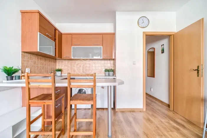 Prodej bytu 1+kk, Ostrava - Moravská Ostrava, U Parku, 29 m2