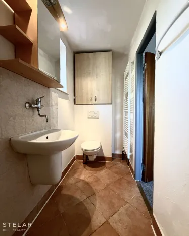 Pronájem rodinného domu, Opava, U Jezera, 216 m2