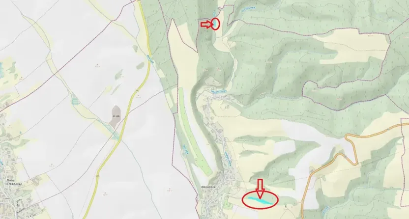 Prodej podílu lesa, Albrechtice, 2552 m2