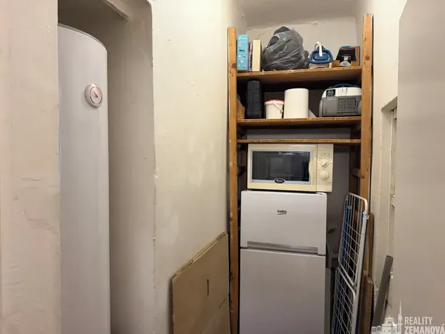 Pronájem bytu 1+1, Praha - Vinohrady, Řipská, 46 m2