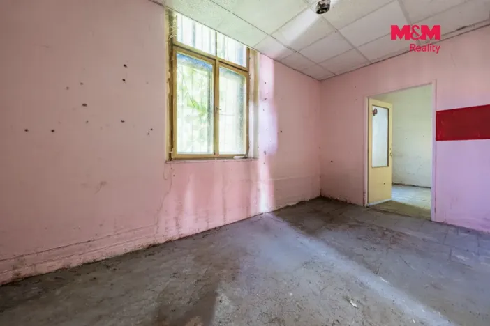 Prodej rodinného domu, Nová Ves - Vepřek, 600 m2