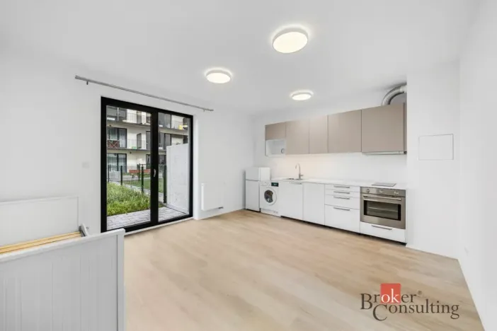 Pronájem bytu 1+kk, Plzeň - Jižní Předměstí, Železná, 28 m2
