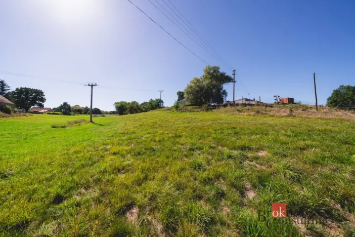 Prodej pozemku pro bydlení, Radnice - Svatá Barbora, 7544 m2