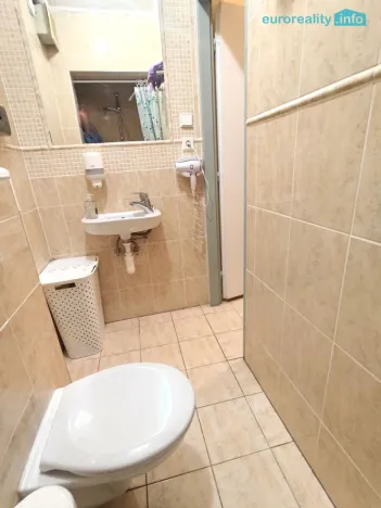 Pronájem bytu 2+1, Plzeň, Zbrojnická, 80 m2