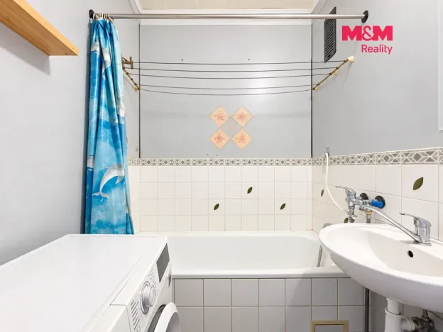 Prodej bytu 2+1, Ostrava - Moravská Ostrava, Ahepjukova, 53 m2
