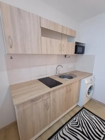 Pronájem bytu 1+kk, Čelákovice - Záluží, Vořechovka, 24 m2