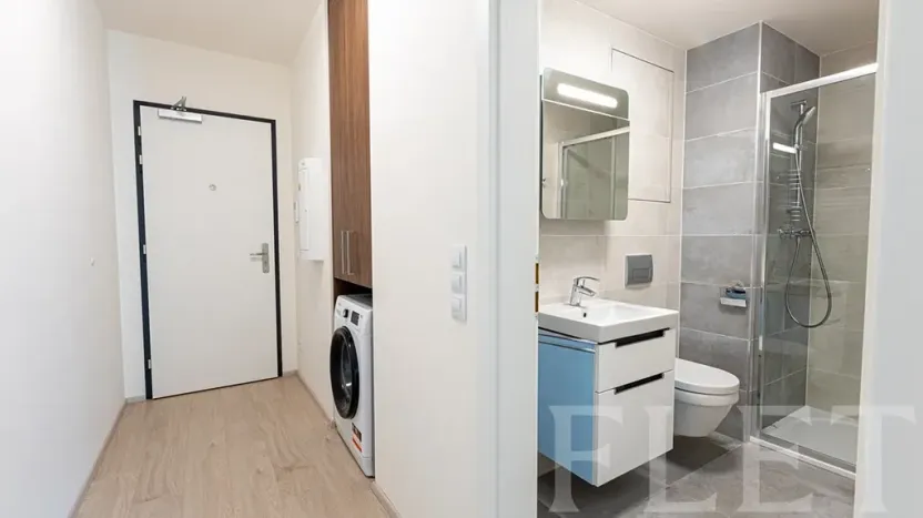 Pronájem bytu 1+kk, Praha - Žižkov, Hartigova, 32 m2