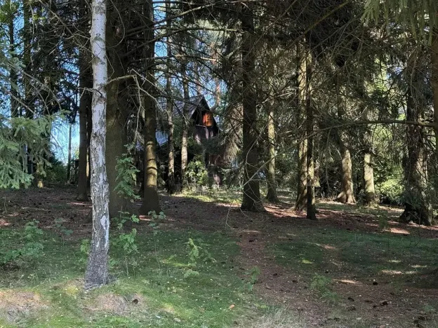 Prodej chaty, Borová, 53 m2