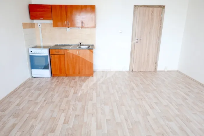 Pronájem bytu 1+kk, Plzeň, Toužimská, 31 m2