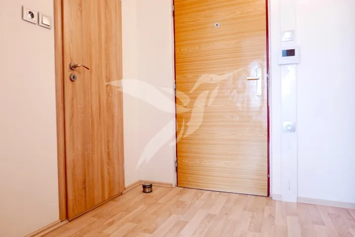 Pronájem bytu 1+kk, Plzeň, Toužimská, 31 m2