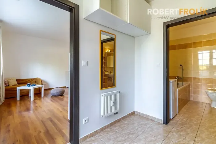 Pronájem bytu 1+kk, Svémyslice, 30 m2