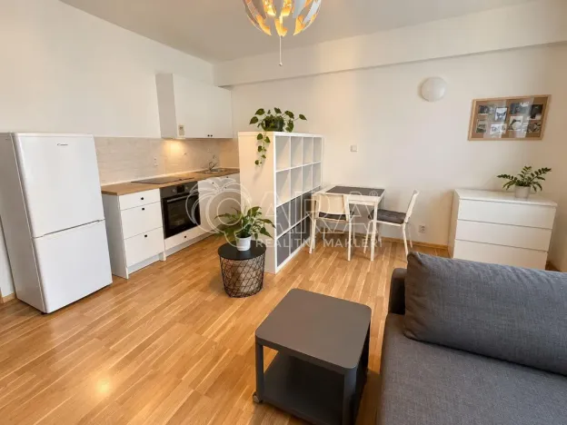 Pronájem bytu 1+kk, Praha - Žižkov, Dalimilova, 28 m2
