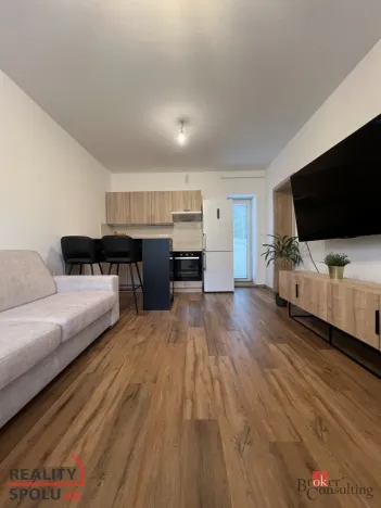 Pronájem bytu 1+kk, Ostrava - Martinov, Kamenná, 33 m2