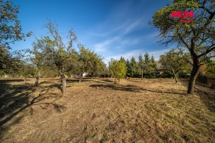 Prodej zemědělské usedlosti, Pavlíkov, 125 m2