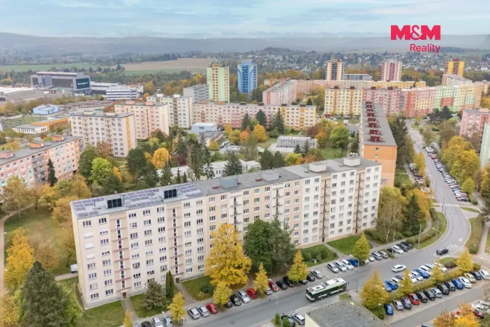 Prodej bytu 2+1, Plzeň - Jižní Předměstí, Skupova, 62 m2