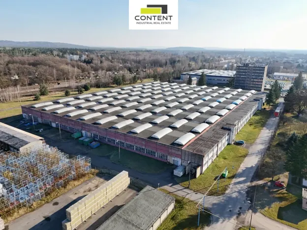 Pronájem výrobních prostor, Týniště nad Orlicí, Vrchlického, 22300 m2