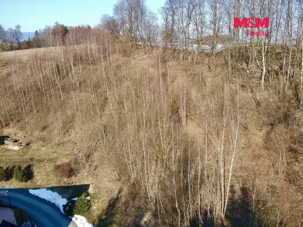 Prodej louky, Hanušovice, 3087 m2