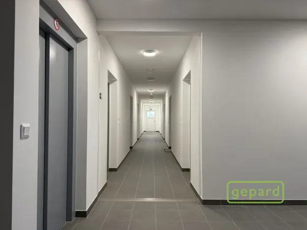 Pronájem bytu 1+kk, Mohelnice, Za Penzionem, 25 m2