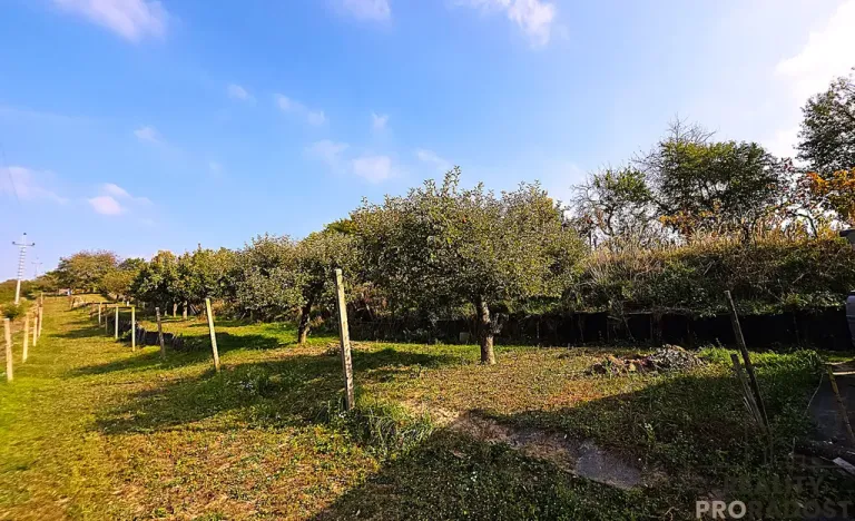 Prodej vinného sklepa, Mutěnice, 107 m2