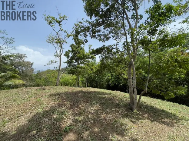 Prodej pozemku, Coxen Hole, Roatán, Honduras, 1884 m2