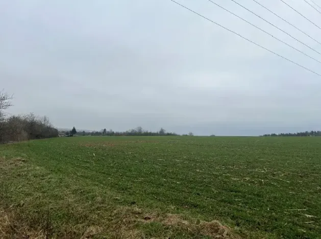 Prodej podílu pole, Neděliště, 722 m2