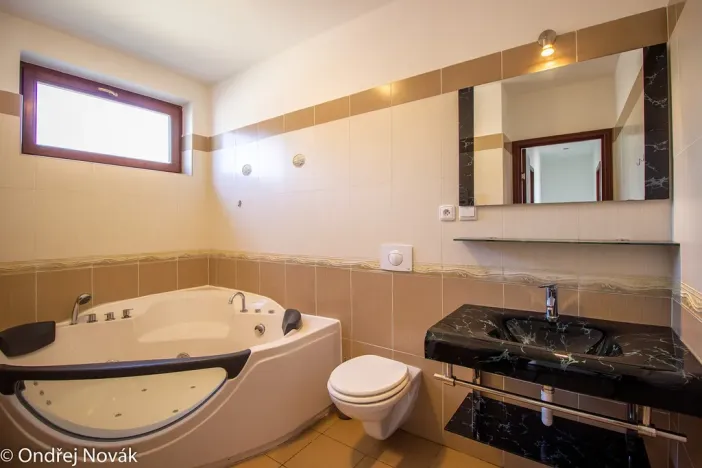 Pronájem rodinného domu, Černošice, V Olšinách, 120 m2