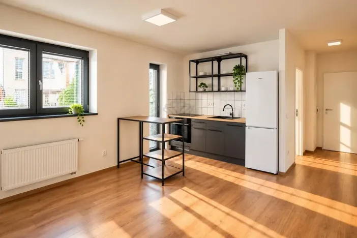 Pronájem bytu 2+kk, Brno - Štýřice, Sovinec, 42 m2
