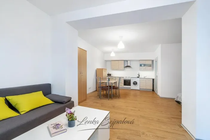 Prodej bytu 1+kk, Pardubice - Zelené Předměstí, Hronovická, 45 m2
