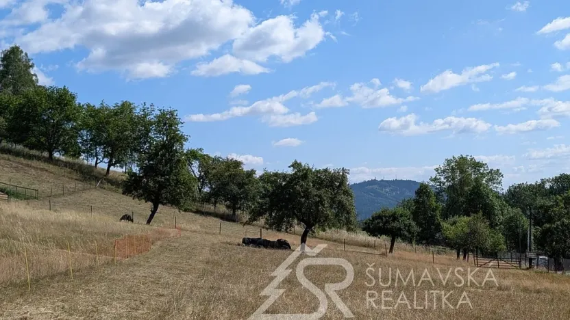 Prodej pozemku, Petrovice u Sušice - Pařezí, 4773 m2
