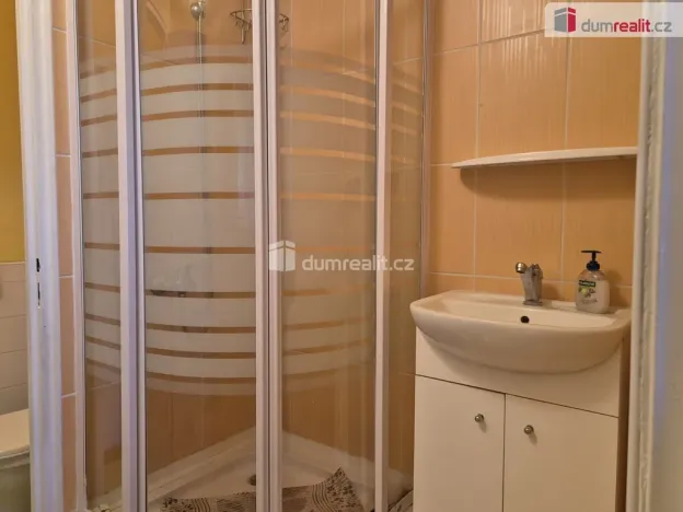 Pronájem bytu 3+1, České Budějovice - České Budějovice 7, L. M. Pařízka, 50 m2