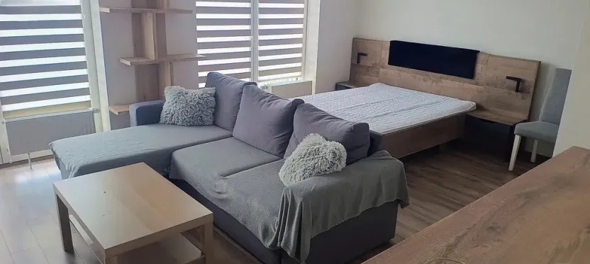 Pronájem bytu 1+kk, Plzeň, Pecháčkova, 42 m2