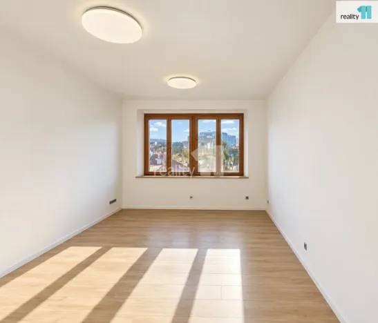 Pronájem bytu 2+kk, Praha - Dejvice, Vostrovská, 46 m2