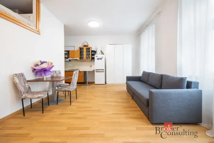Prodej bytu 1+kk, Praha - Žižkov, Rokycanova, 30 m2