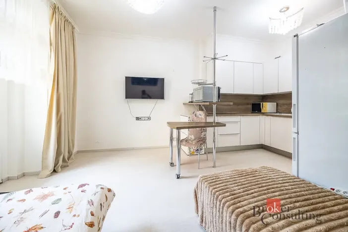 Prodej bytu 1+kk, Praha - Žižkov, Rokycanova, 35 m2