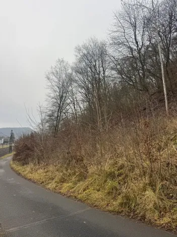 Prodej lesa, Ústí nad Labem, 9837 m2