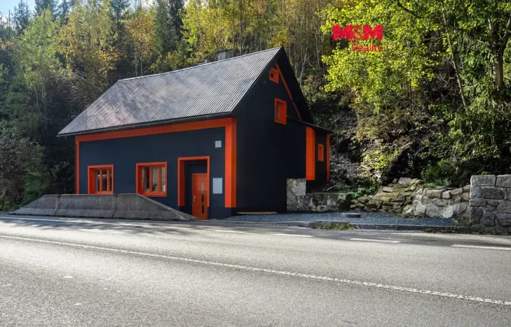 Prodej obchodního prostoru, Železný Brod - Těpeře, 100 m2