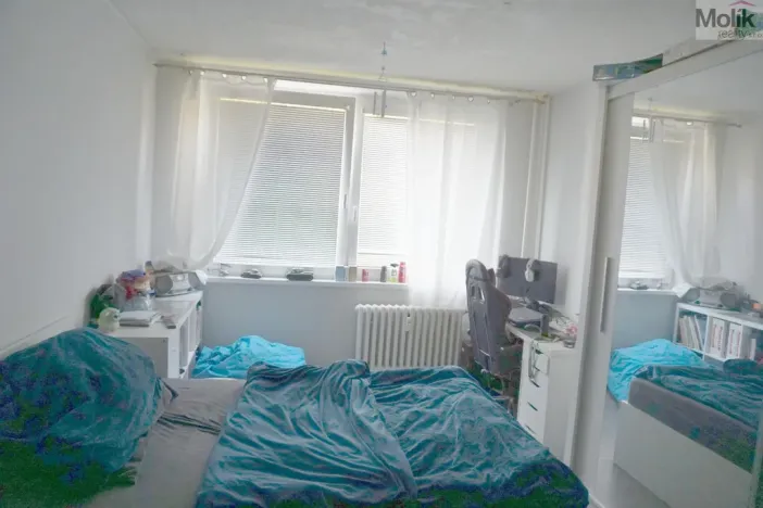 Prodej bytu 4+1, Litvínov - Janov, Luční, 80 m2