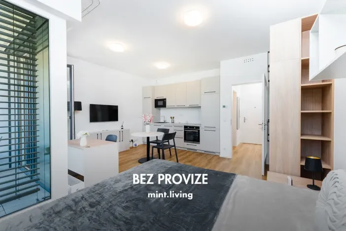 Pronájem bytu 1+kk, Praha - Vysočany, Odkolkova, 38 m2