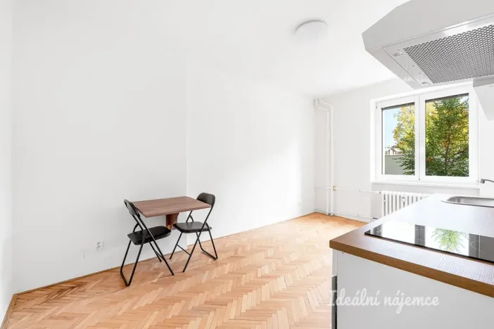 Pronájem bytu 1+kk, Praha - Žižkov, Pod lipami, 20 m2