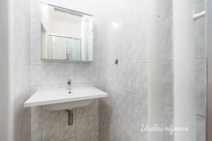 Pronájem bytu 1+kk, Praha - Žižkov, Pod lipami, 20 m2