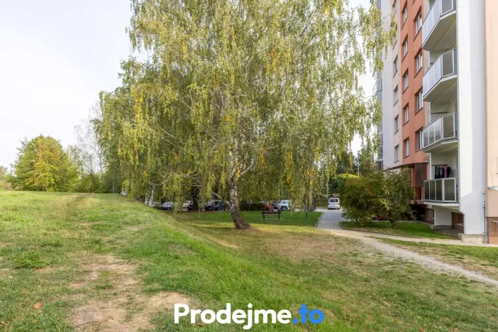 Prodej bytu 3+1, Třebíč, Okružní, 68 m2