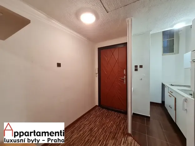 Prodej bytu 1+1, Praha - Žižkov, Jagellonská, 51 m2