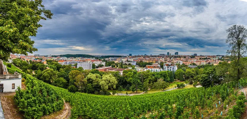 Prodej bytu 3+1, Praha - Vinohrady, Americká, 68 m2