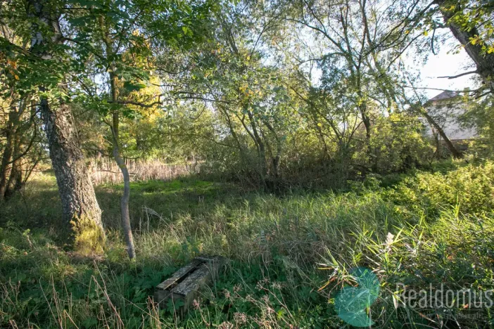 Prodej zemědělské usedlosti, Miličín - Nové Dvory, 121 m2