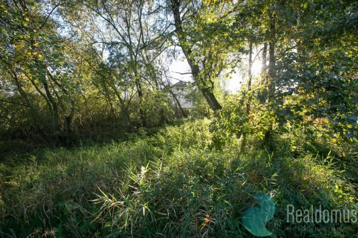 Prodej zemědělské usedlosti, Miličín - Nové Dvory, 121 m2