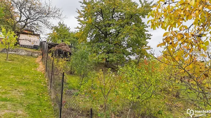 Prodej zahrady, Olomouc, 710 m2